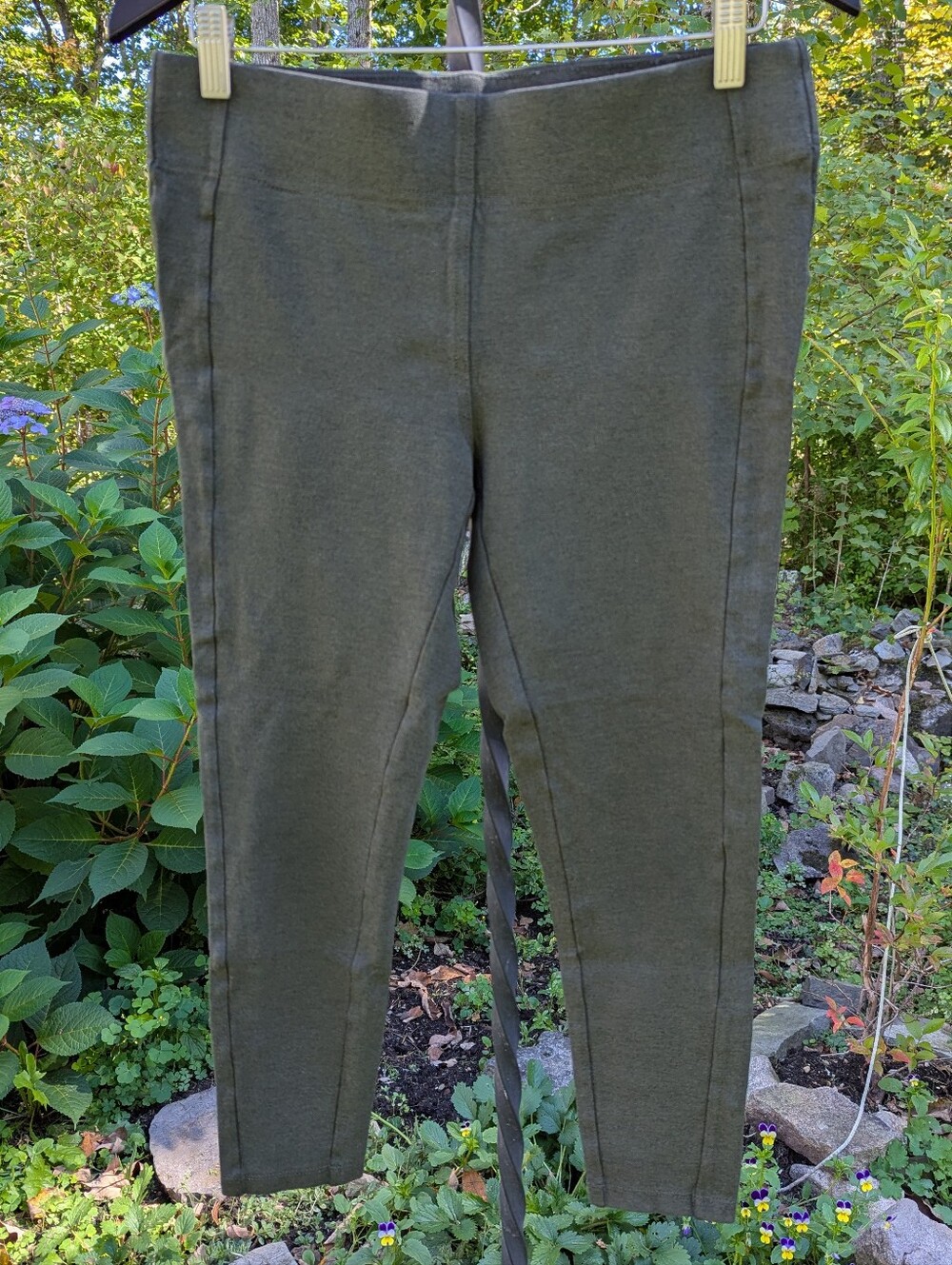 LOFT Womens Green Knit Pull-On Seamed Ponte Leggings Size M Slim Fit Stretch